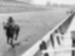 Secretariat-1.jpeg