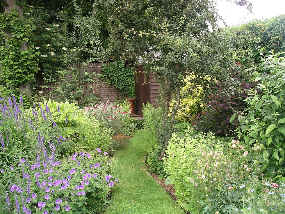 Woodland pathway