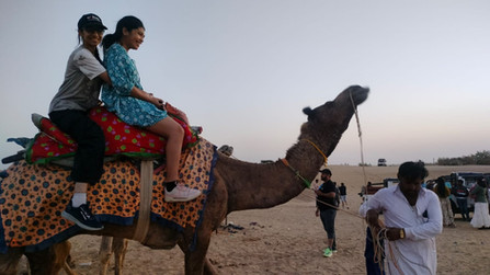 Sand Dunes and Camel