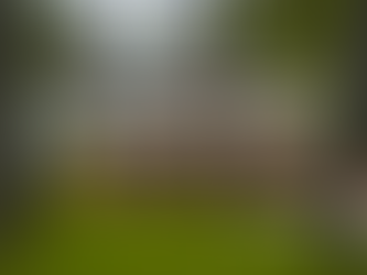 BUSINESS IN THE FRONT, PARTY IN THE BACK : THE MULLET HOUSE