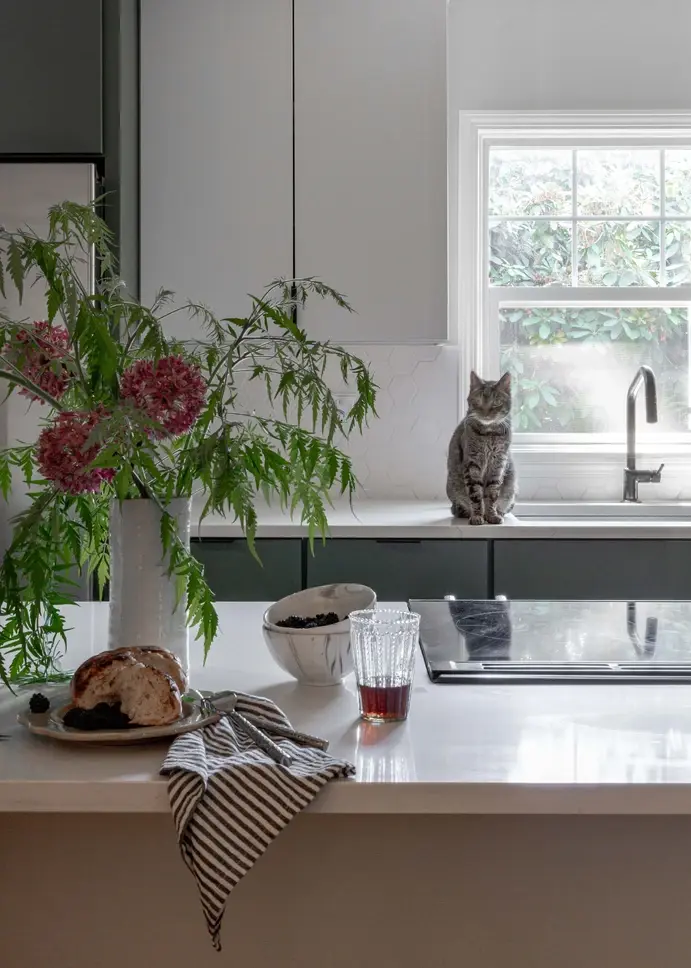 A quartzite looking countertop on a kitchen island with a flower vase and various food items and dish ware on top. There is a cat sitting on the other countertop in the background with a window behind it, creating a lot of natural light.