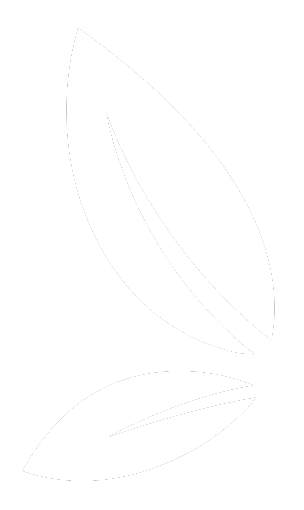 white leaf 