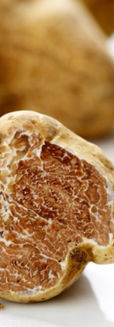 Winter white Alba truffle.jpg