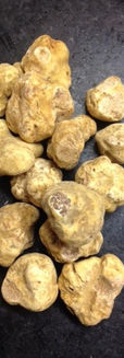 Truffes blanches d'Alba _ Alba's white truffels.jpg