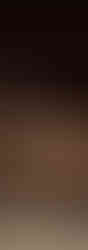 black-truffles-mushrooms-rustic-wooden-table-with-free-text-space.jpg