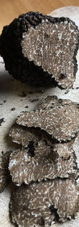 download (2).jpg
