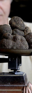 Truffe Truffle Trufa Tartufo.jpg