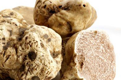 TUBER MAGNATUM PICO – WHITE TRUFFLE