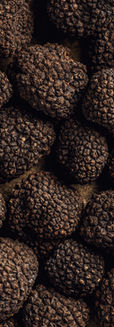 view-from-top-many-black-truffle-gourmet-mushrooms.jpg
