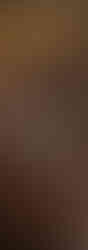 basket-with-black-truffles-dark-wooden-board.jpg