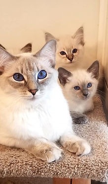 gisellebabies2.jpg