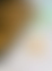 HOW TO: ice biscuits with royal icing