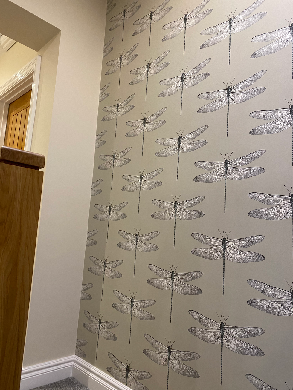 Dragonfly wallpaper feature wall