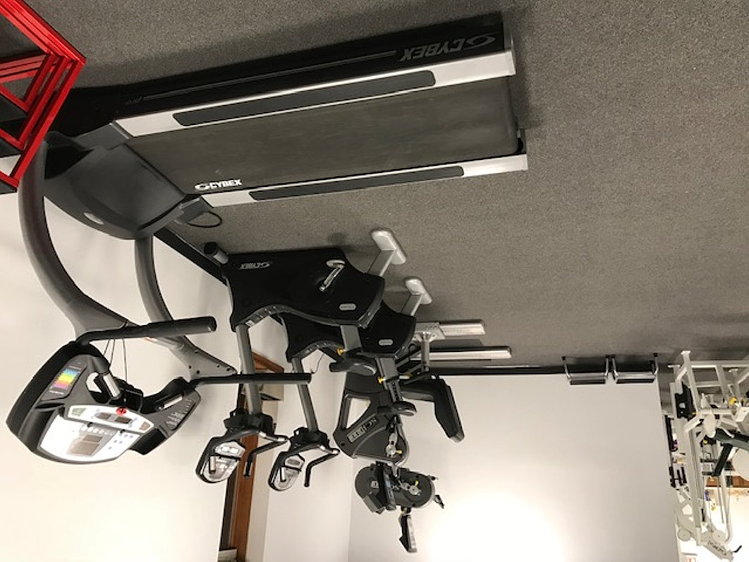 Albany, NY Physical Therapy