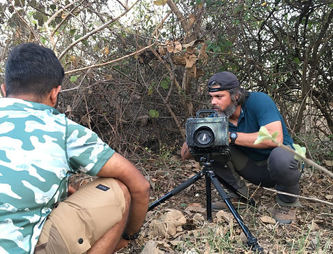 Camera Trapping