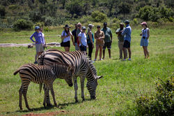 06_people_yoga_retreat_(c)Camila_Pastorelli2025
