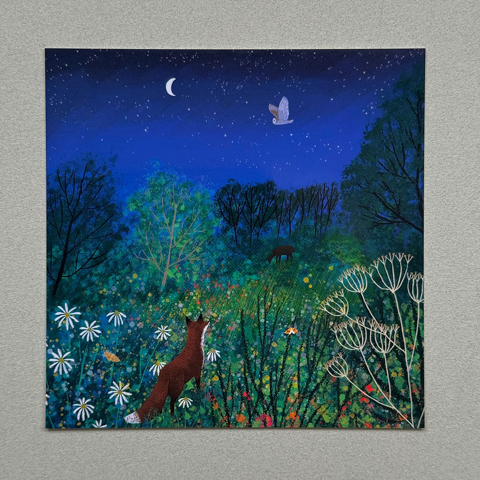 Thumbnail: Wild and Free-set of postcards