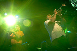 Fanfare Ciocarlia en viu