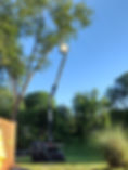IMG_20220614_185750957_HDR.jpg