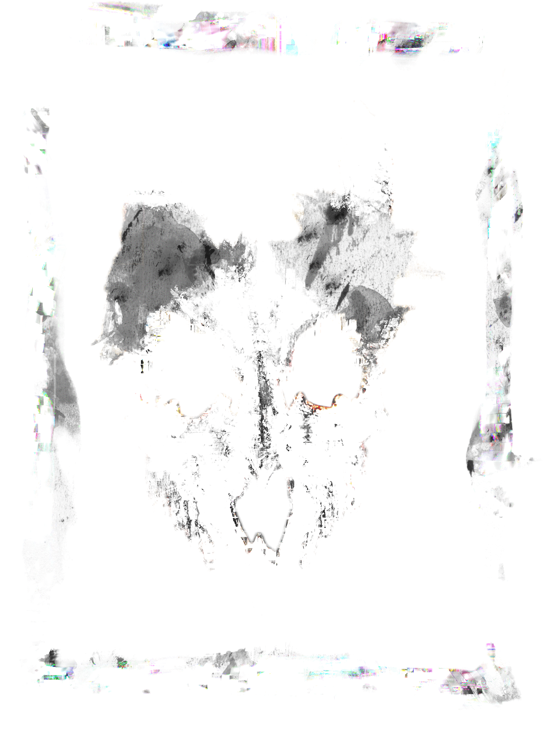 logo teschio.gif