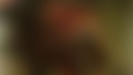 Game of Thrones Career Planning