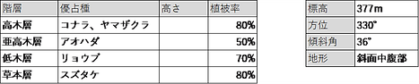 N1 植生調査 階層表.png
