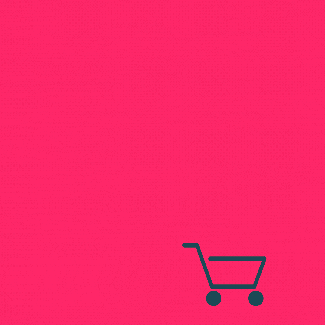 site web + boutique animée.gif
