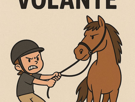 RÉDEA NÃO É VOLANTE – Como se comunicar corretamente com o cavalo