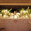 Miniatura: Eventos