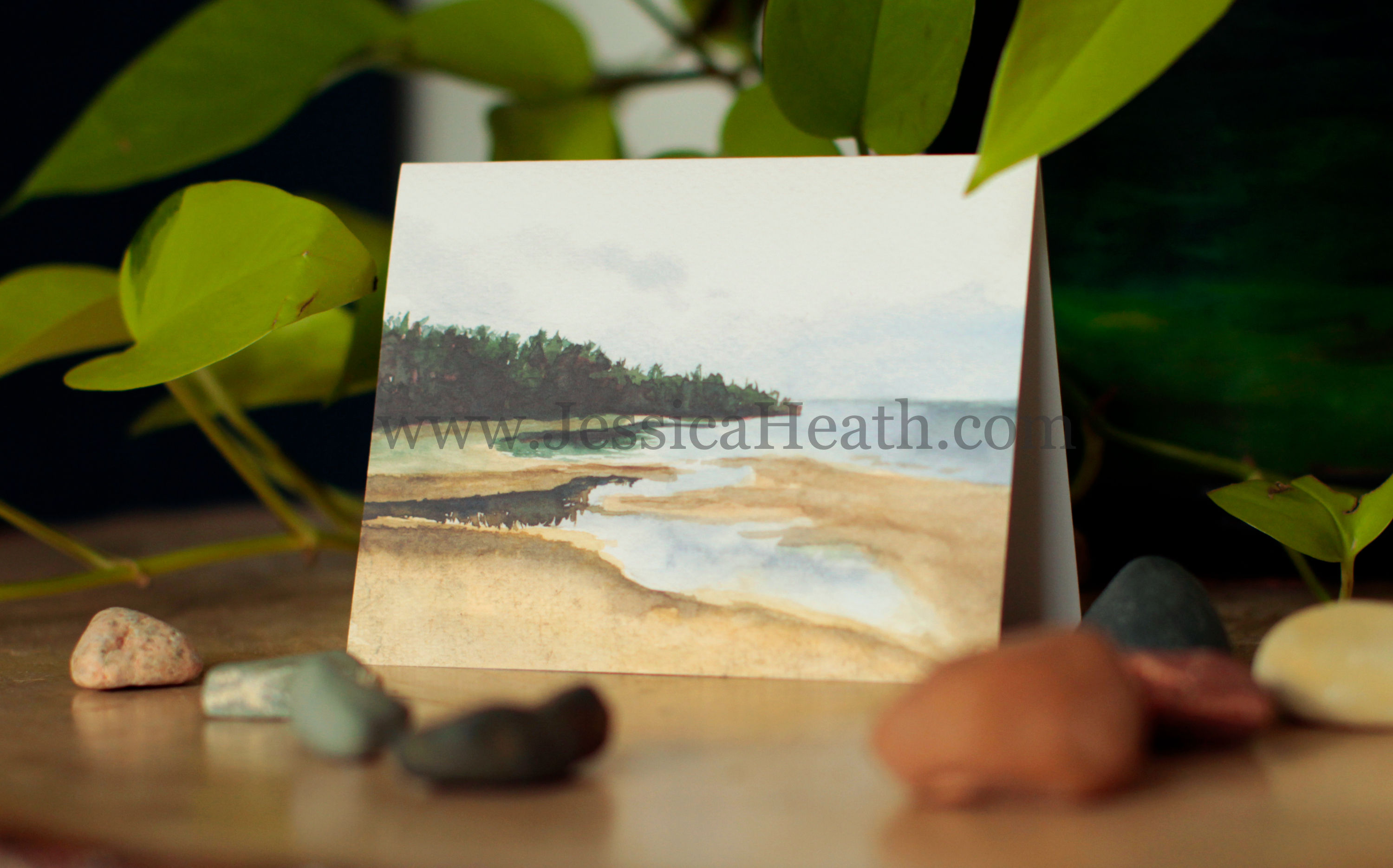Lake Michigan Shoreline Greeting Card
