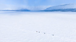 Arctic 2
