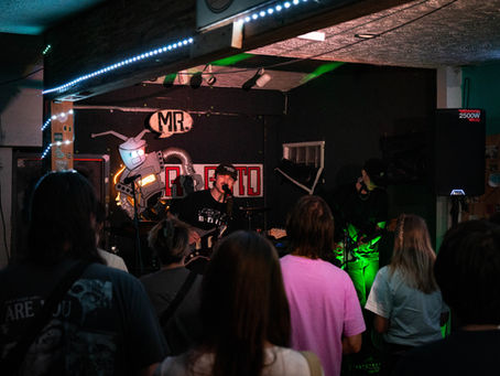 Good Sleepy, If Kansas Had Trees, Park National and Bug Moment @ Mr. Roboto Project FULL GALLERY