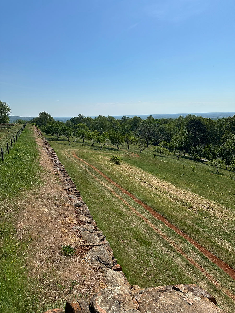 Monticello's hillside garden.