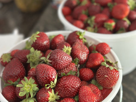 Two buckets of strawberries on a countertop.