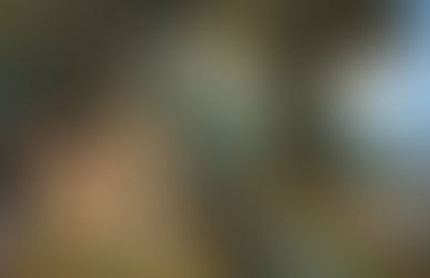 Adam and the Tree of Life