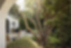 -12_edited_edited.jpg