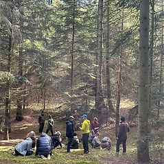 Billede af sansende gruppe i skoven.jpg