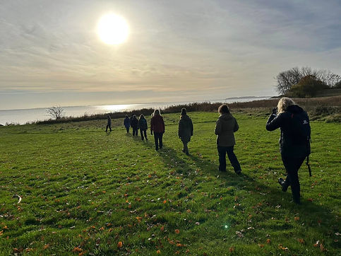 Billede stillegang.jpg