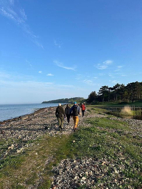 Billede gående v. strand.jpg