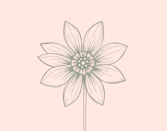 simple sketch of a flower centered _edit
