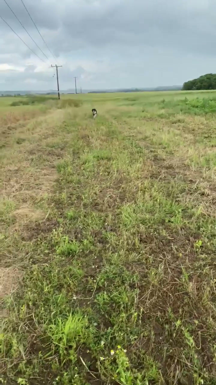 video 17-04-2026, 17 19 44 (edited).mov