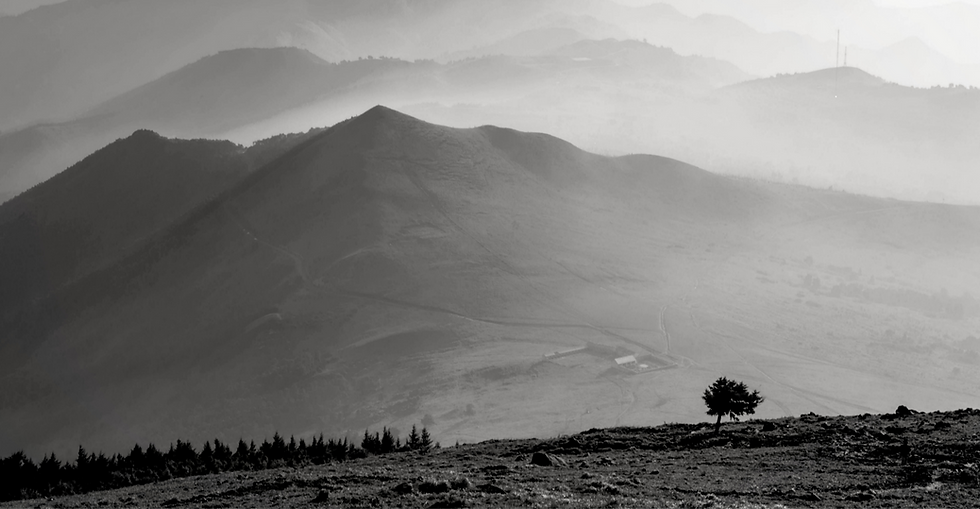 Misty mountain landscape with layered ridges fading into the distance and a single tree in the foreground