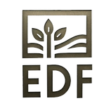 EDF LOGO