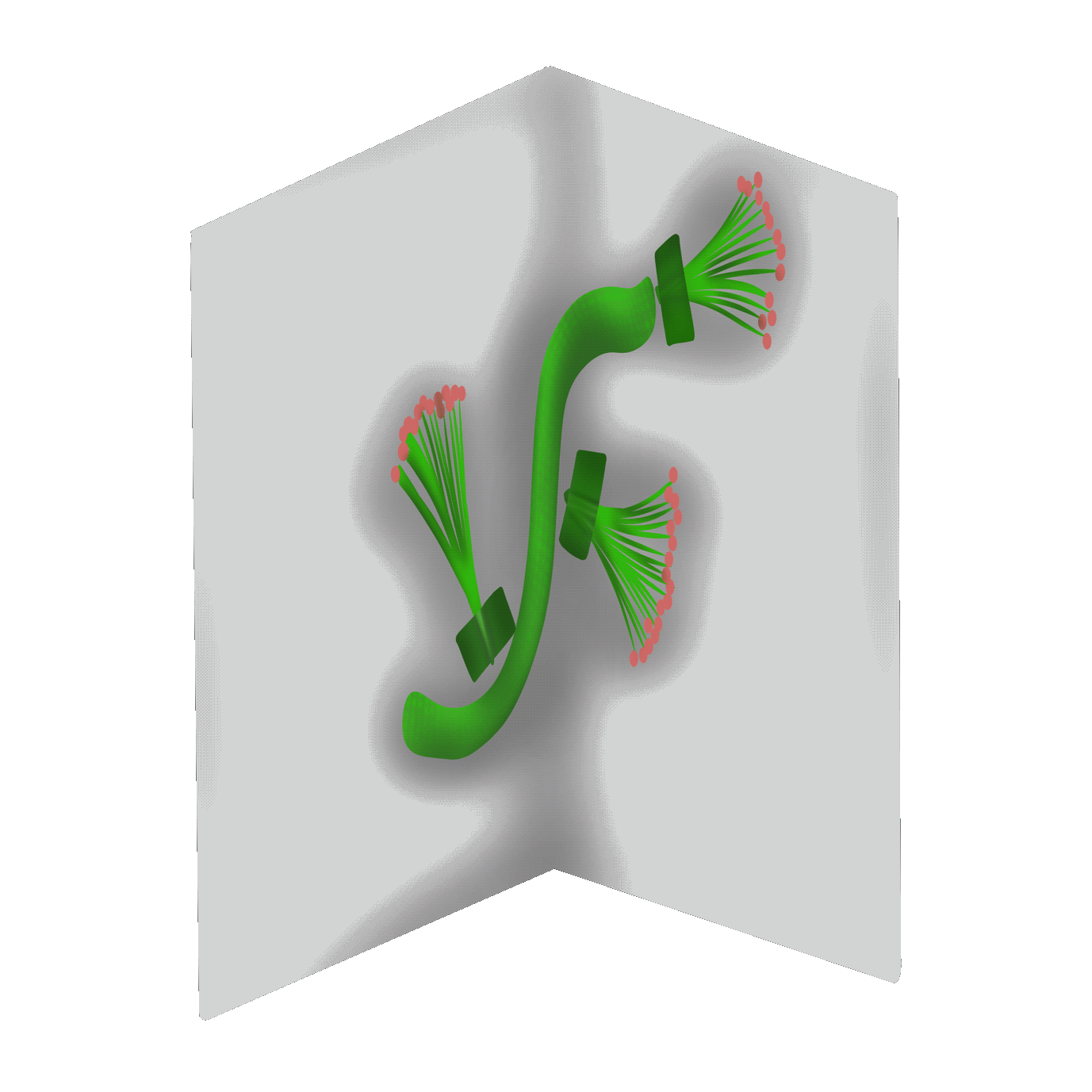IMG_3007.gif