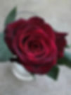Роза Блек Баккара (Black Baccara)