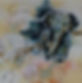 paint3_edited.jpg