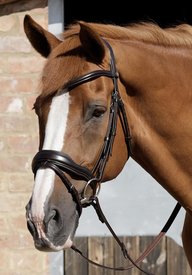 Thumbnail: Premier Equine Rizzo Anatomic Flash Bridle - Ex Full - Black