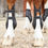 Thumbnail: Premier Equine Kevlar Airtechnology Tendon Boots