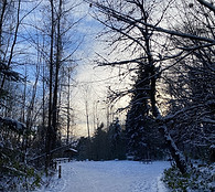 IMG_6377-1300x1733.jpeg