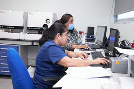 Optimizando la Eficiencia de los Procesos Diarios